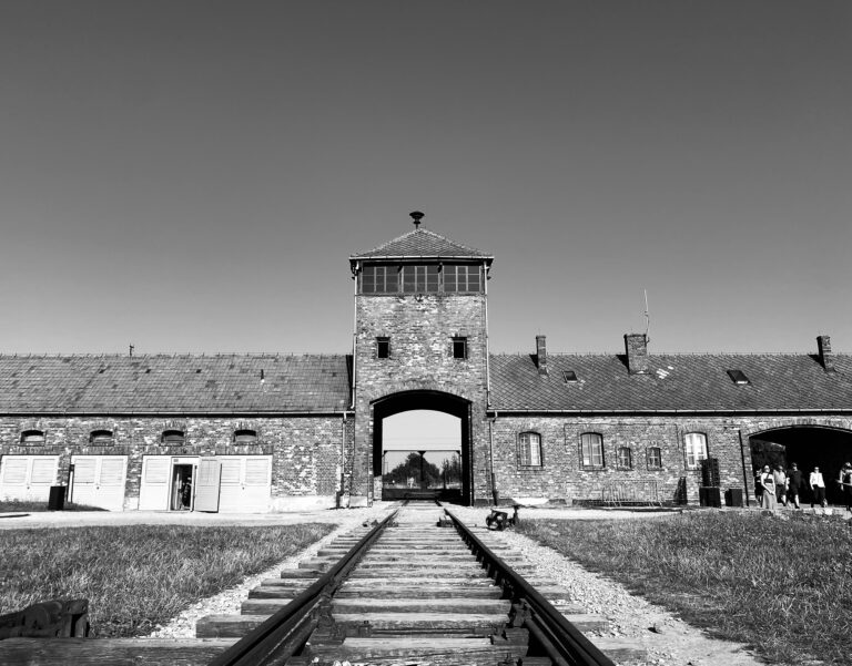 Auschwitz binari di Valeria Alpi 768x601